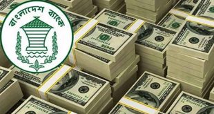 প্রবাসী আয়েই মিলছে 'রেমিট্যান্স ঋণ'