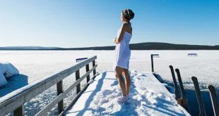 ফিনল্যান্ড কাজের ভিসা