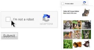 ‘আই অ্যাম নট আ রোবট’ কেন জানতে চাওয়া হয়?