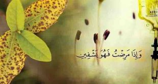 রোগীকে দেখতে যাওয়ার ফজিলত ও মর্যাদা