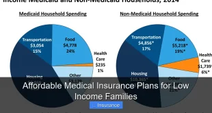 Affordable Medical Insurance Plans for Low Income Families