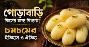 পোড়াবাড়ি কিসের জন্য বিখ্যাত