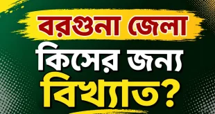 বরগুনা জেলা কিসের জন্য বিখ্যাত