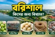 বরিশাল কিসের জন্য বিখ্যাত