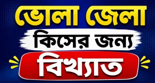 ভোলা জেলা কিসের জন্য বিখ্যাত