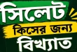 সিলেট কিসের জন্য বিখ্যাত