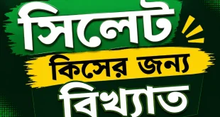 সিলেট কিসের জন্য বিখ্যাত